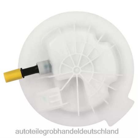 Autoteile großhandel Deutschland - Kraftstoffpumpenmodul E7245M SP7060M P76281M 68029546AB für Dodge J88NJ1067