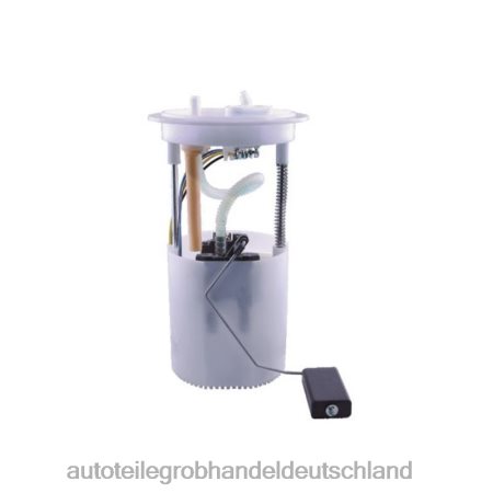 Autoteile großhandel - Kraftstoffpumpenmodul 1k0919051bg für Audi J88NJ846