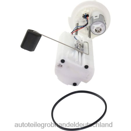 Motorrad ersatzteile Deutschland - Kraftstoffpumpenmodul 31110-2g000 für Kia J88NJ1118