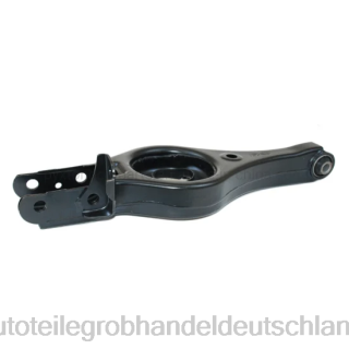 Motorrad ersatzteile Deutschland Hyundai Querlenker 55210-2z100 B0X898